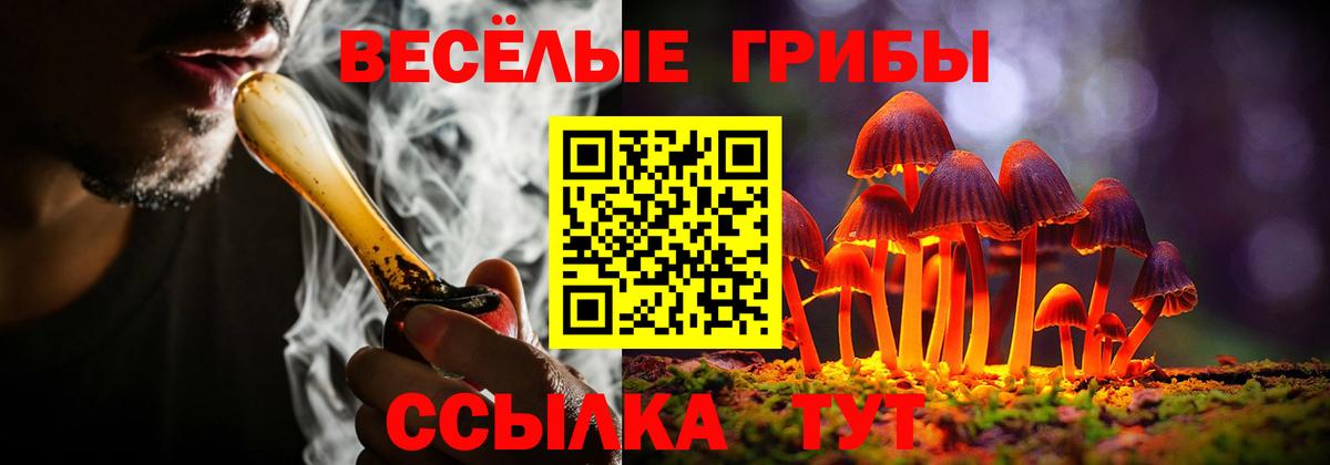 Галлюциногенные грибы Psilocybe  Вход с VPN  Кириши 