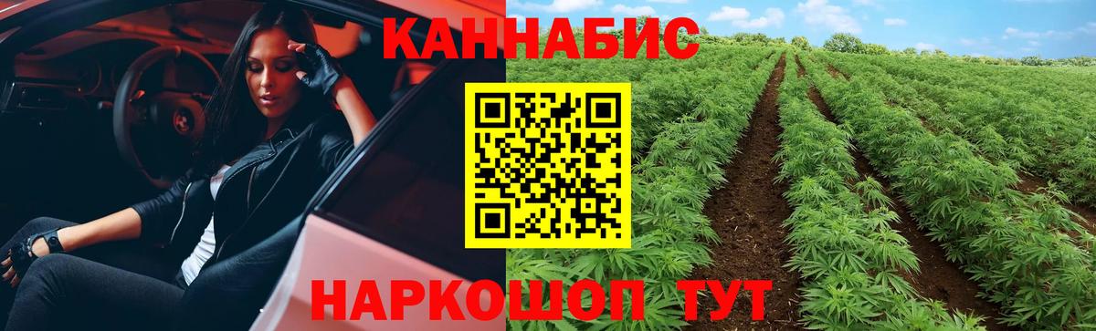 МАРИХУАНА Ganja Кириши